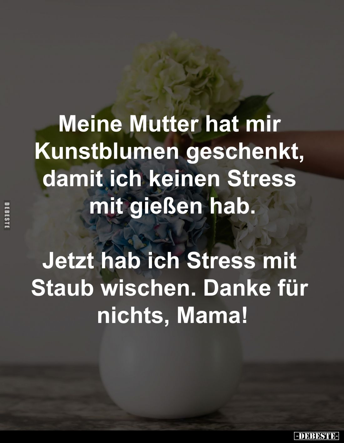 Meine Mutter hat mir 
Kunstblumen geschenkt, 
damit ich keinen Stress 
mit gießen hab.

Jetzt hab ich Stress mit 
Staub...