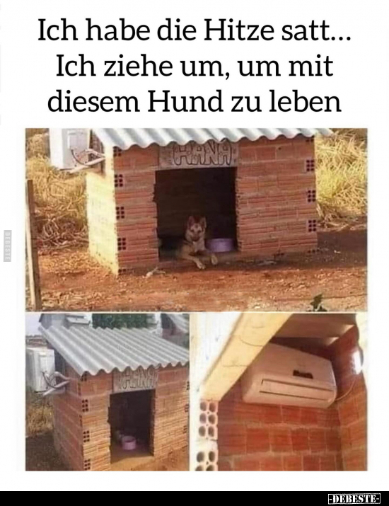 Ich habe die Hitze satt.. - Lustige Bilder | DEBESTE.de