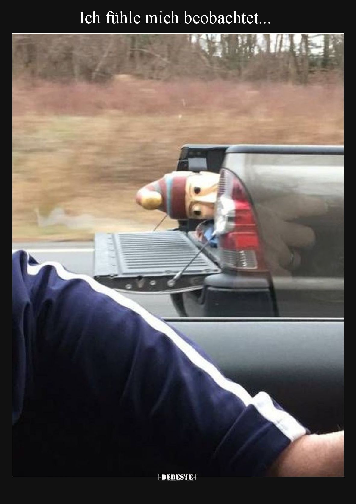 Ich fühle mich beobachtet...