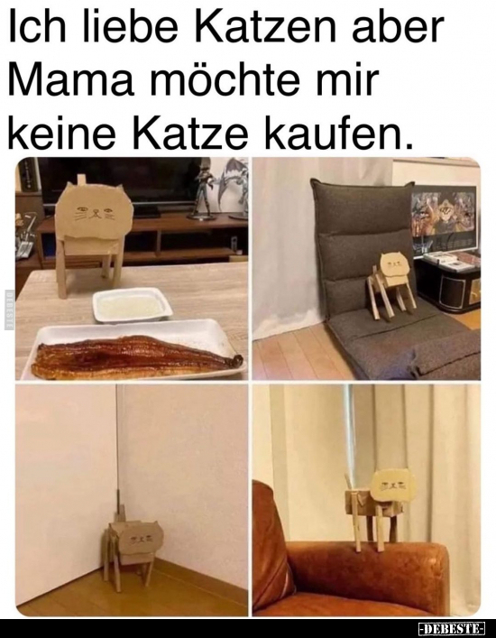 Ich liebe Katzen aber Mama möchte mir keine Katze.. - Lustige Bilder | DEBESTE.de