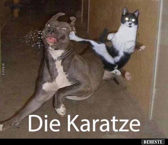 Die Karatze..