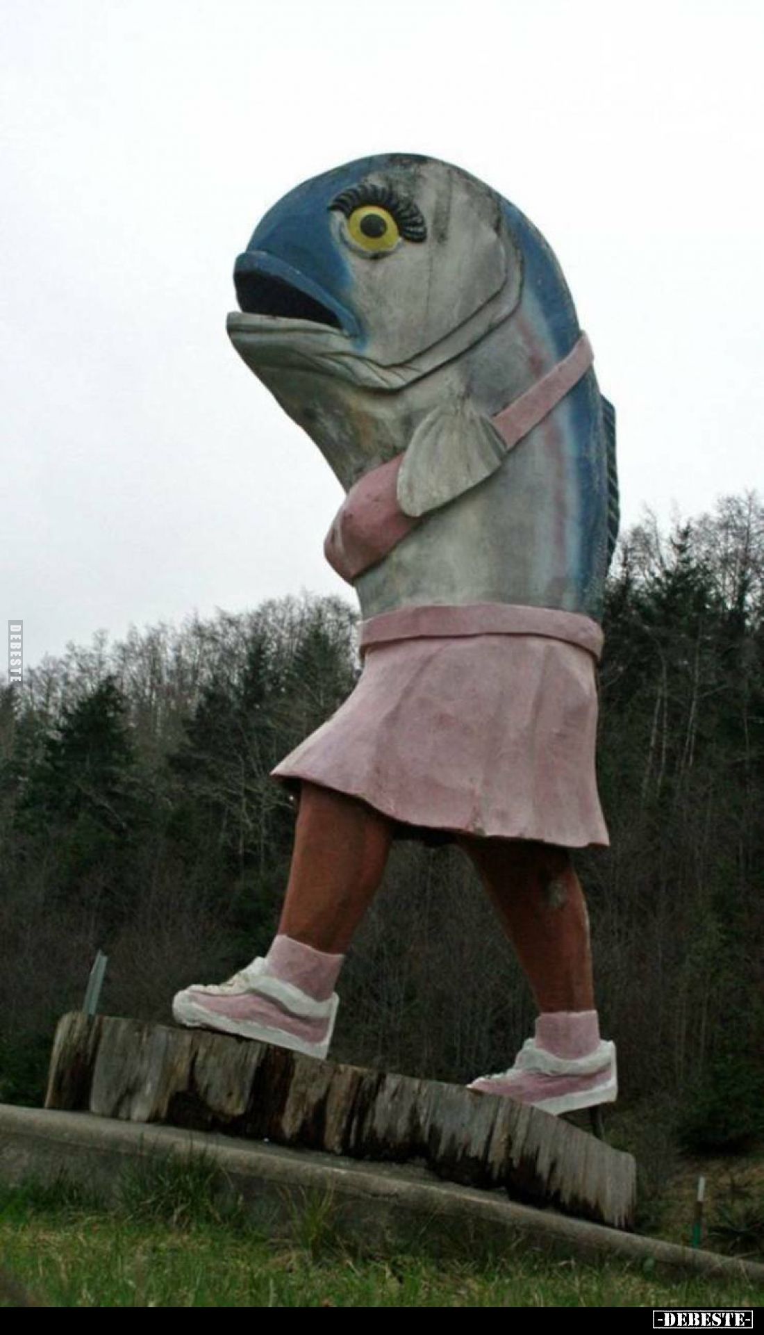  - Lustige Bilder | DEBESTE.de