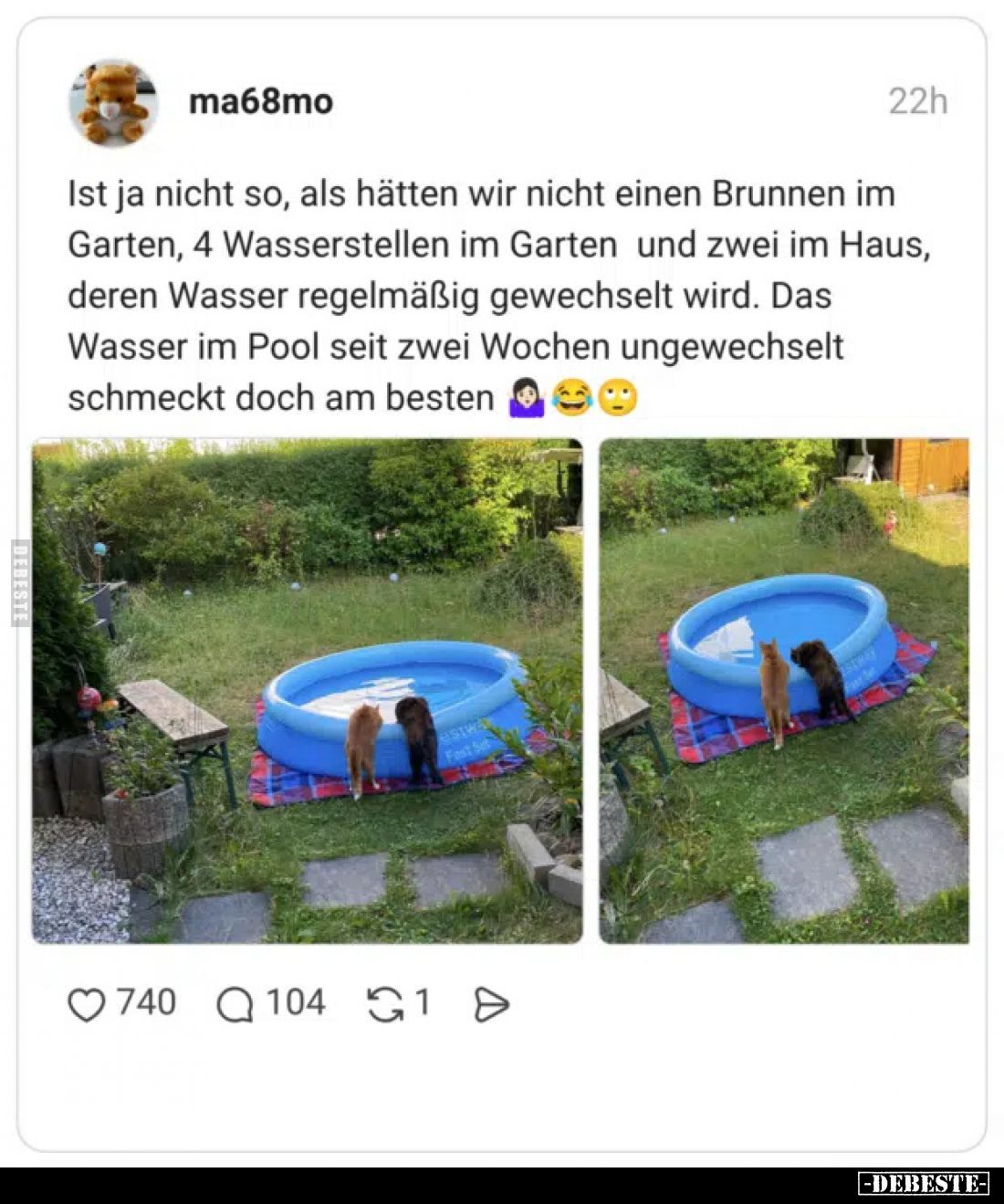 Ist ja nicht so, als hätten wir nicht einen Brunnen im Garten, 4 Wasserstellen im Garten und zwei im Haus, deren Wasser regel...
