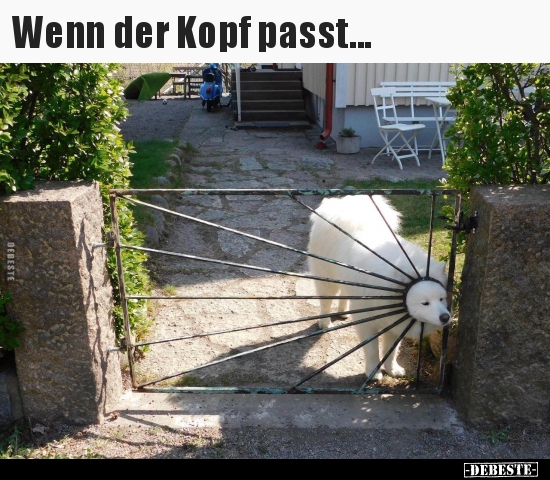 Wenn der Kopf passt...