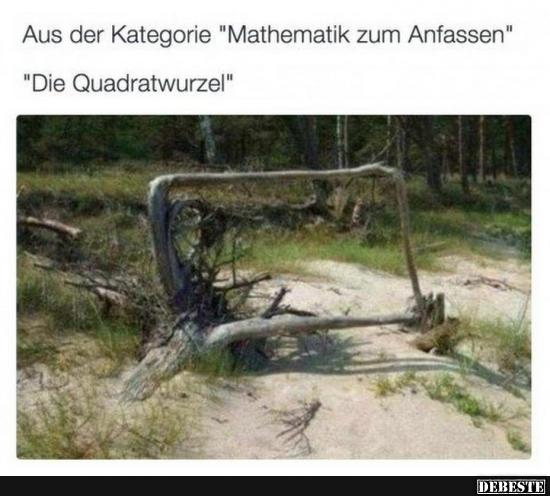 Asu der Kategorie 'Mathematik zum Anfassen'.. - Lustige Bilder | DEBESTE.de
