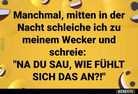 Manchmal, mitten in der Nacht schleiche ich zu meinem..