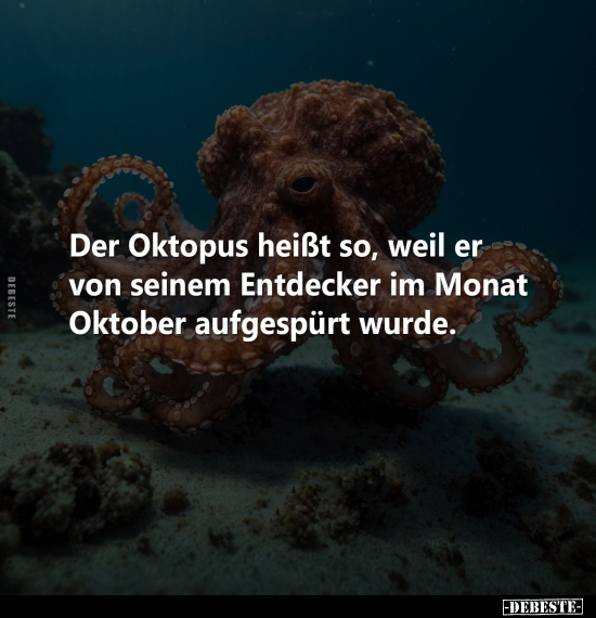 Der Oktopus heißt so, weil er von seinem Entdecker im Monat.. - Lustige Bilder | DEBESTE.de