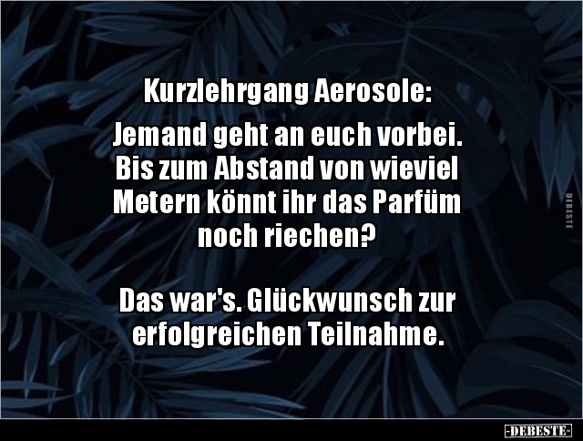 Kurzlehrgang Aerosole: Jemand geht an euch vorbei. Bis.. - Lustige Bilder | DEBESTE.de