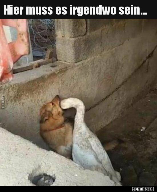 Hier muss es irgendwo sein...