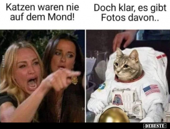 Katzen waren nie auf dem Mond!.. - Lustige Bilder | DEBESTE.de