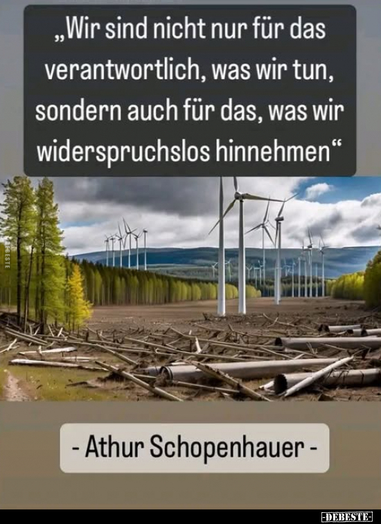 Lustige Bilder zum Thema: Geschwister, Leben, Bruder, Schwester, Kindheit, Jugend