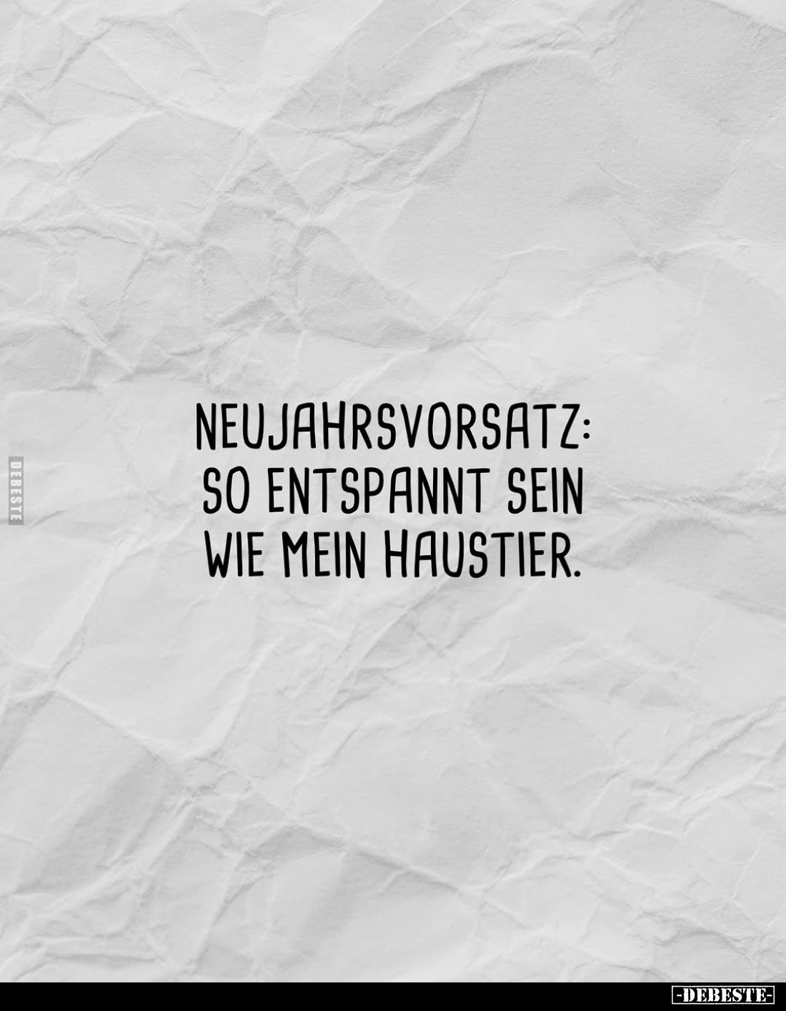 Neujahrsvorsatz: So entspannt sein wie mein Haustier.