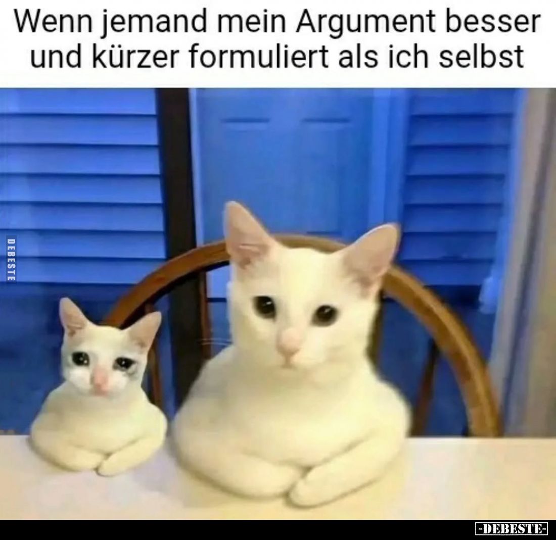 Wenn jemand mein Argument besser und kürzer formuliert als ich selbst.