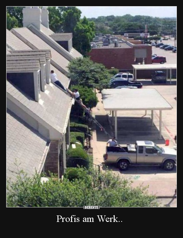 Profis am Werk..