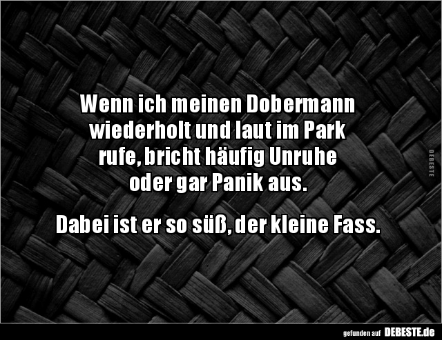 Wenn ich meinen Dobermann wiederholt und laut im Park.. - Lustige Bilder | DEBESTE.de