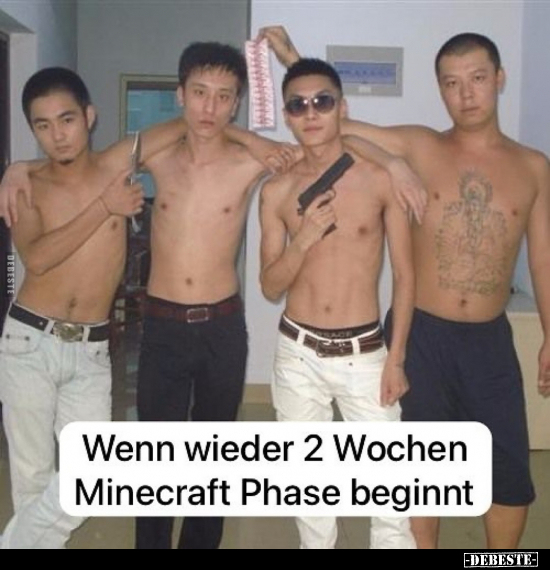 Wenn wieder 2 Wochen Minecraft Phase beginnt.. - Lustige Bilder | DEBESTE.de