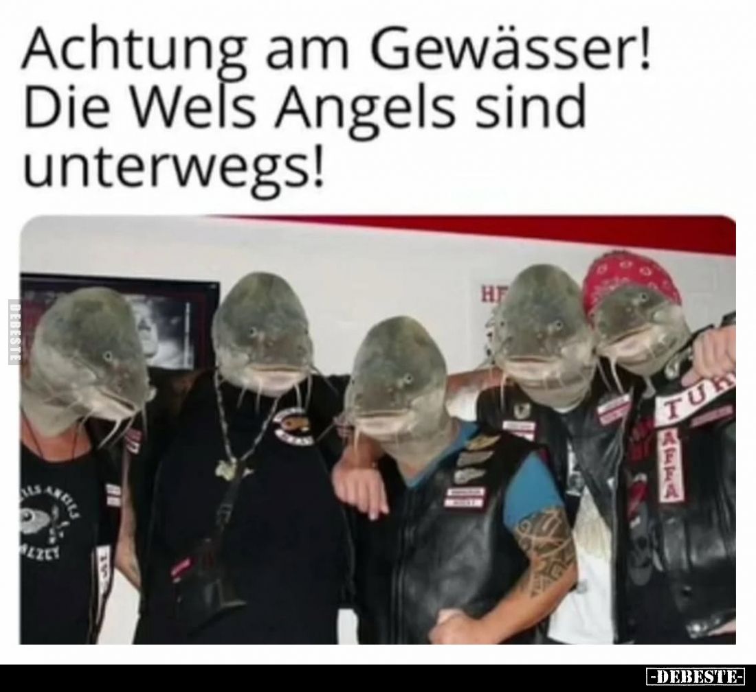 Achtung am Gewässer! Die Wels Angels sind unterwegs!