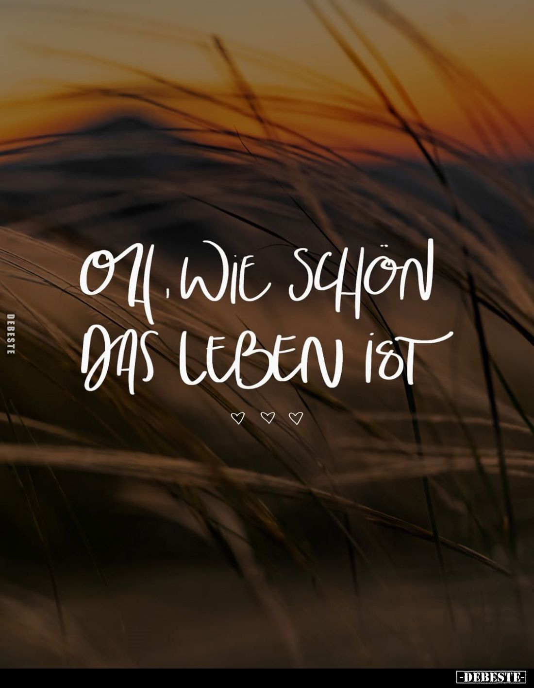 Oh, wie schon das Leben ist.. - Lustige Bilder | DEBESTE.de