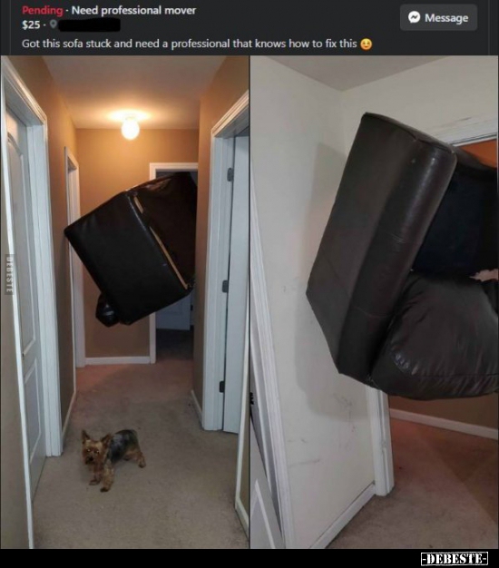 Lieber gleich Profis engagieren..