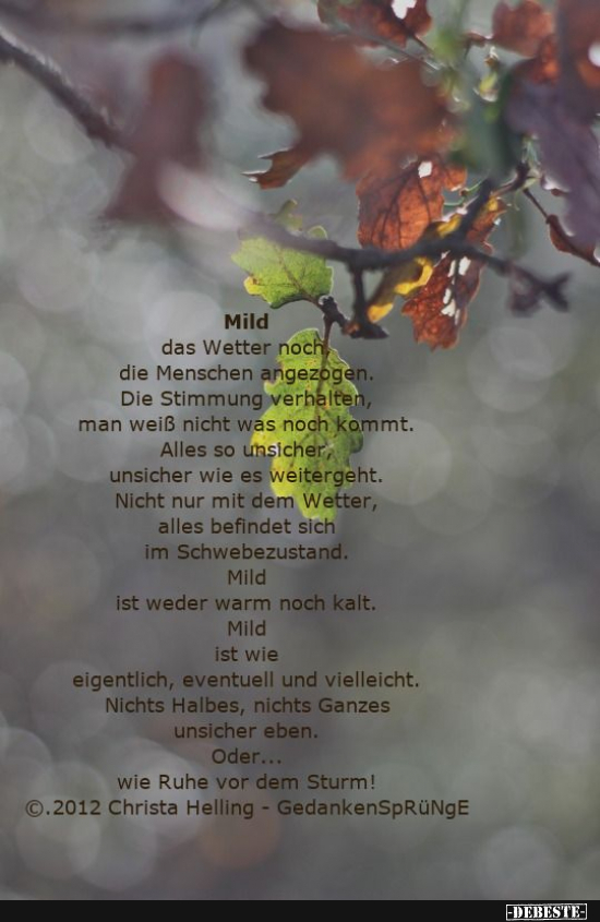  - Lustige Bilder | DEBESTE.de