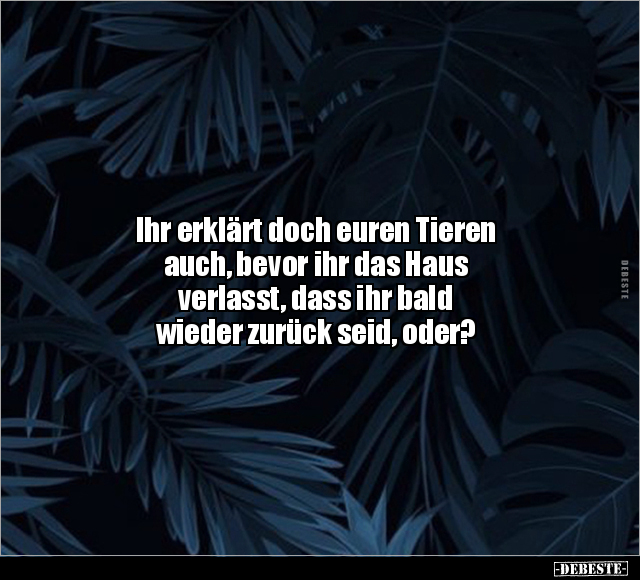 Ihr erklärt doch euren Tieren auch, bevor ihr das Haus.. - Lustige Bilder | DEBESTE.de