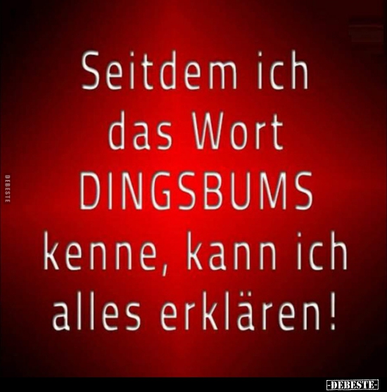 Seitdem ich das Wort DINGSBUMS kenne, kann ich alles erklaren! - Lustige Bilder | DEBESTE.de