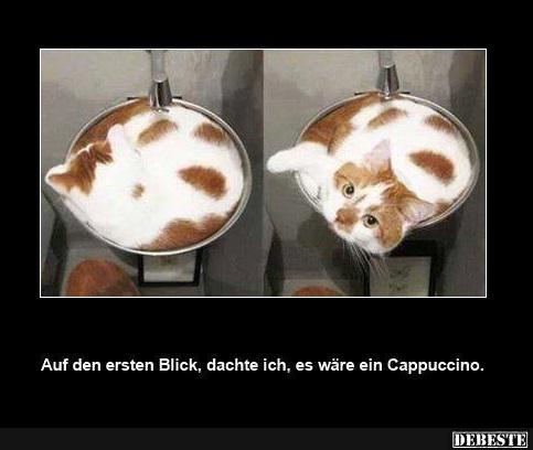 Ein Cappuccino - Lustige Bilder | DEBESTE.de