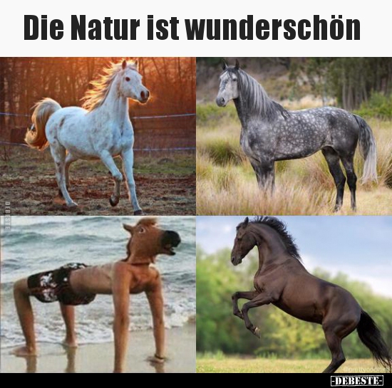 Die Natur ist wunderschön..