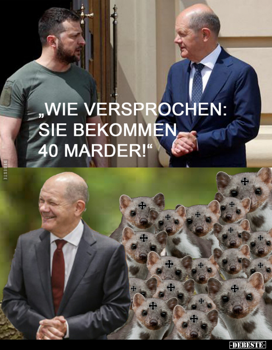"Wie versprochen: Sie bekommen 40 Marder!".. - Lustige Bilder | DEBESTE.de