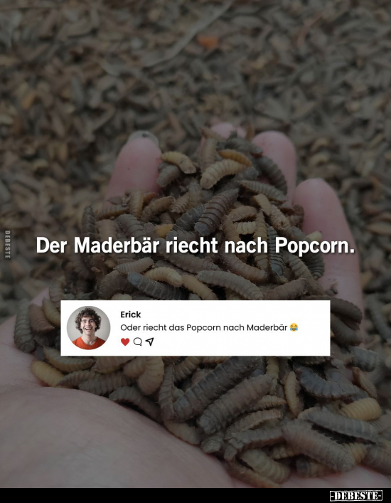 Der Maderbär riecht nach Popcorn.. - Lustige Bilder | DEBESTE.de