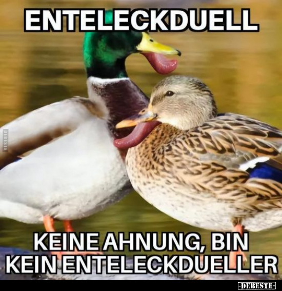 Enteleckduell keine Ahnung.. - Lustige Bilder | DEBESTE.de