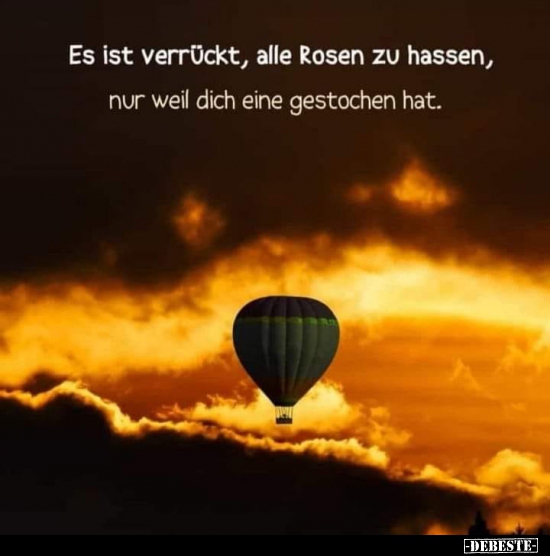 Es Ist Verr ckt Alle Rosen Zu Hassen DEBESTE de