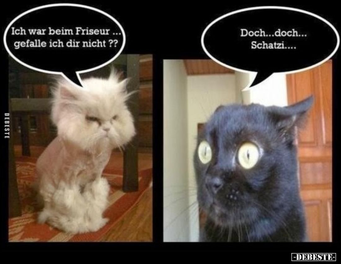 Ich war beim Friseur gefalle ich dir nicht.. - Lustige Bilder | DEBESTE.de