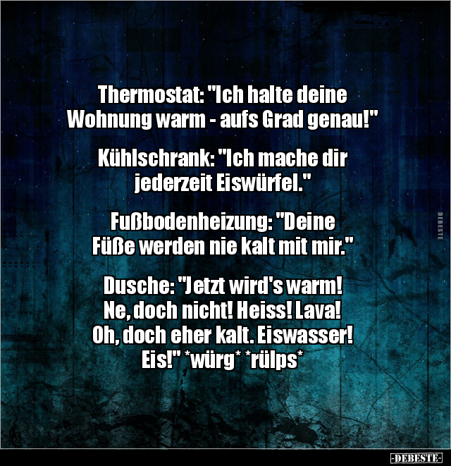 Thermostat: "Ich halte deine Wohnung warm - aufs Grad.." - Lustige Bilder | DEBESTE.de
