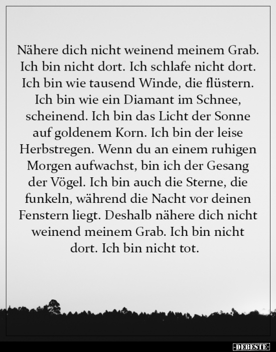 Nähere dich nicht weinend meinem Grab. Ich bin nicht..