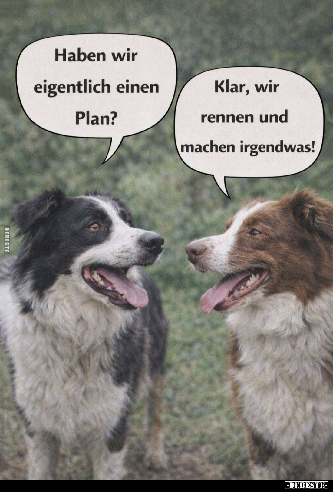 Haben wir eigentlich einen Plan? -
Klar, wir rennen und machen irgendwas!