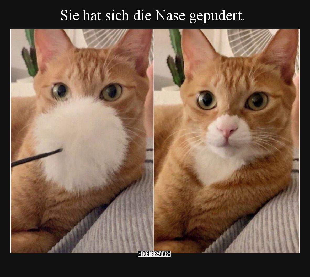 Sie hat sich die Nase gepudert... - Lustige Bilder | DEBESTE.de