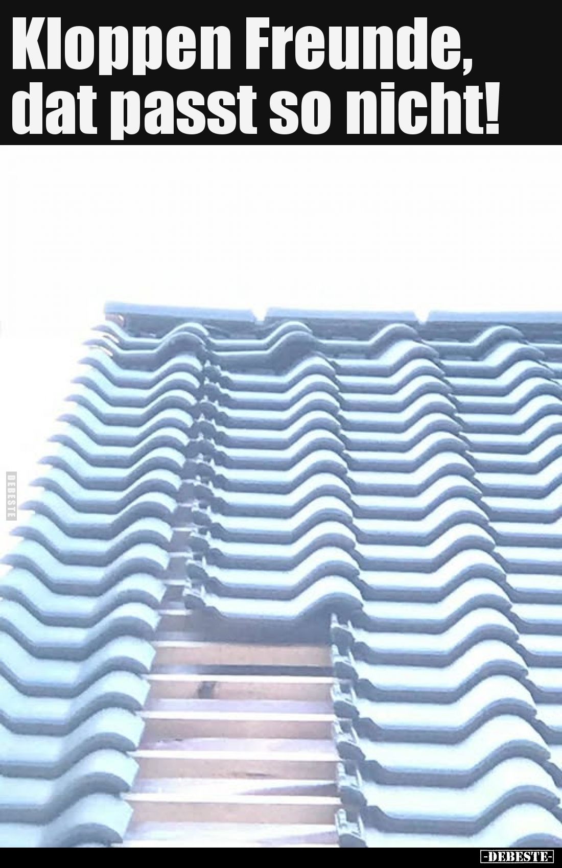 Kloppen Freunde, dat passt so nicht!.. - Lustige Bilder | DEBESTE.de