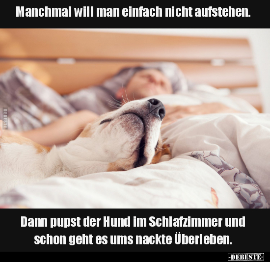 Manchmal will man einfach nicht aufstehen. Dann pupst der.. - Lustige Bilder | DEBESTE.de