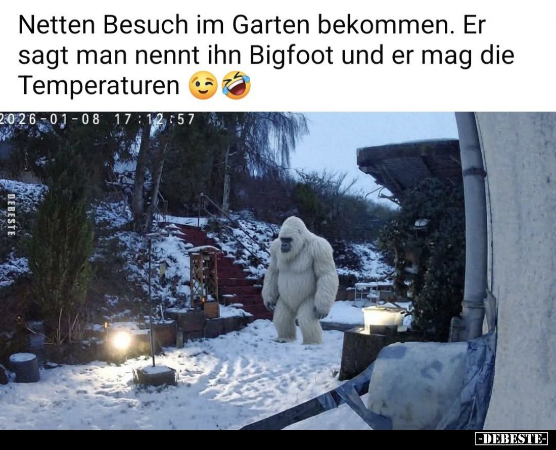 Netten Besuch im Garten bekommen. Er sagt man nennt ihn Bigfoot und er mag die Temperaturen.