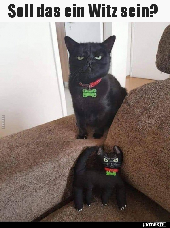 Soll das ein Witz sein?..