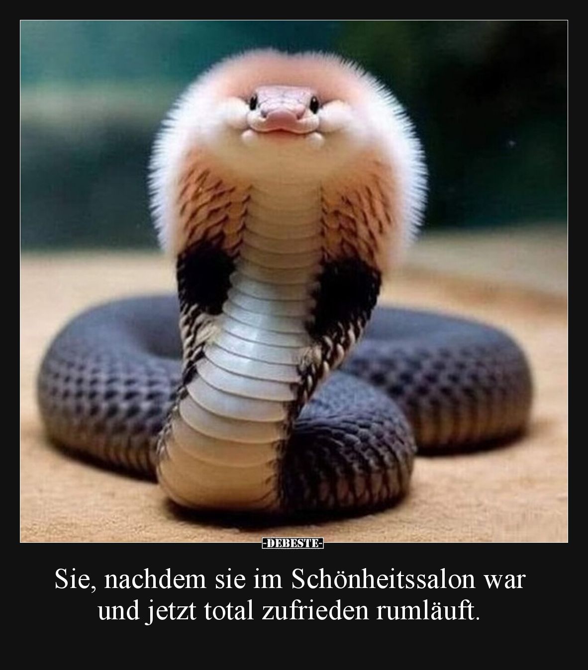 Sie, nachdem sie im Schönheitssalon war und jetzt total zufrieden rumläuft.
