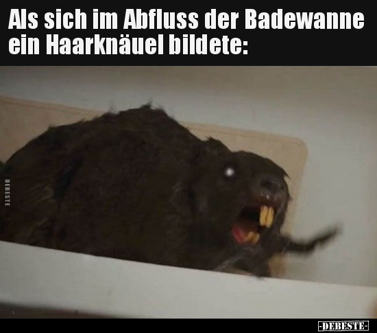 Als sich im Abfluss der Badewanne ein Haarknäuel.. - Lustige Bilder | DEBESTE.de