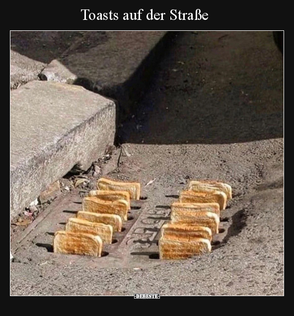 Toast, Papagei