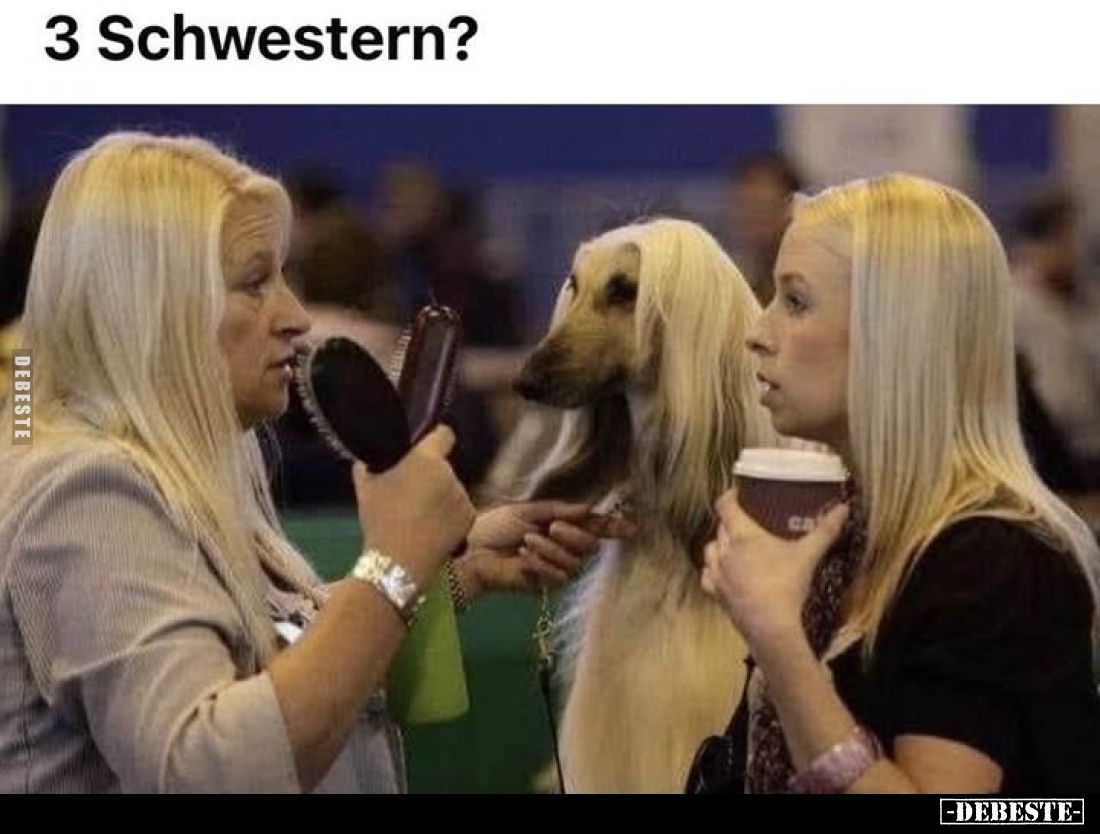3 Schwestern?