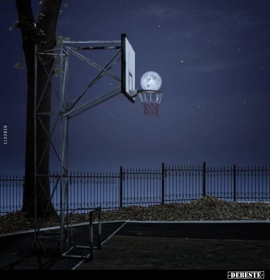  - Lustige Bilder | DEBESTE.de