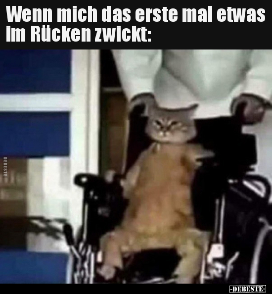 Rücken, Wick