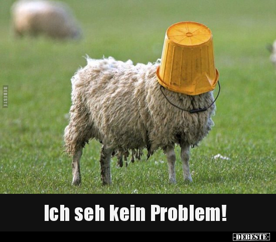 Ich seh kein Problem!.. - Lustige Bilder | DEBESTE.de