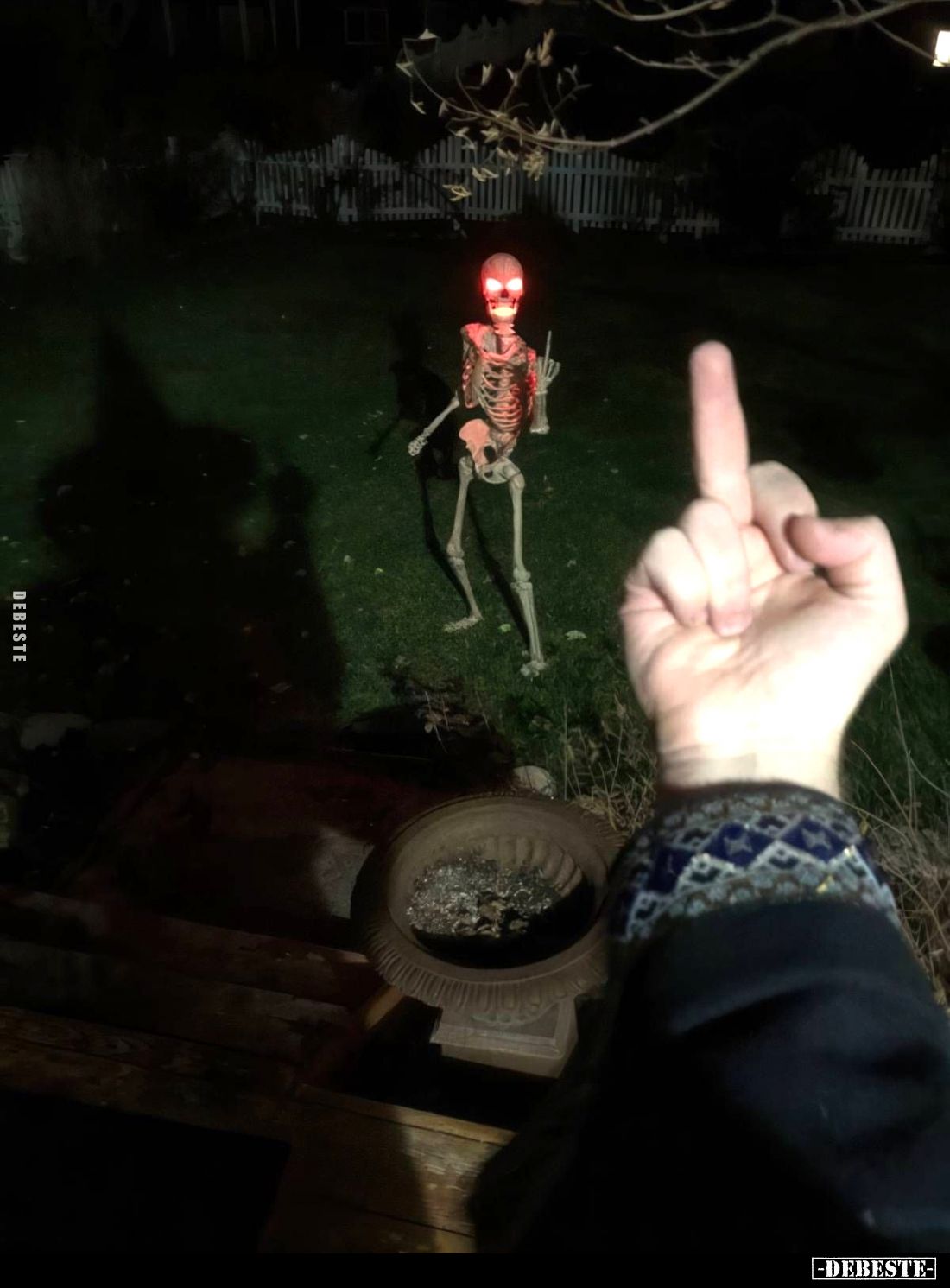  - Lustige Bilder | DEBESTE.de