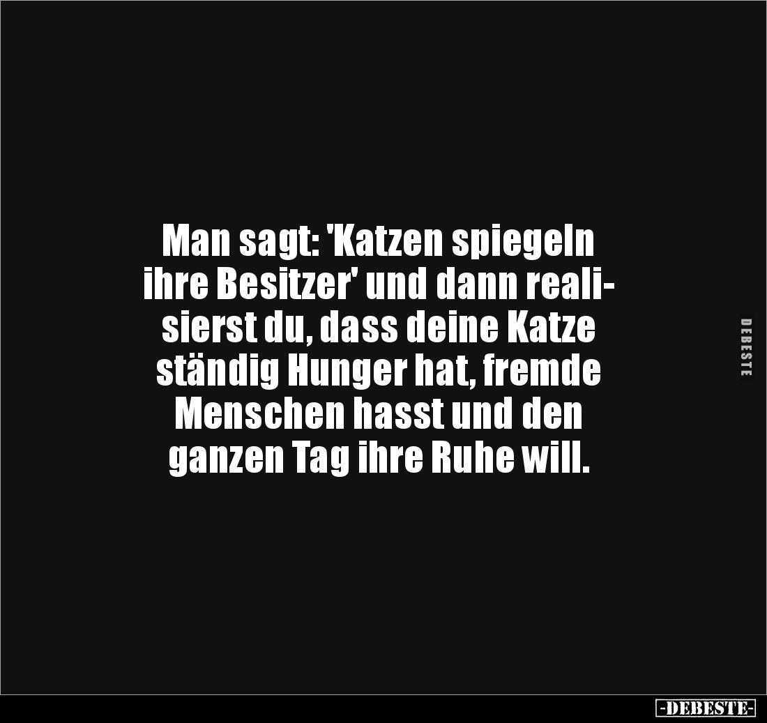 Man sagt: 'Katzen spiegeln 
ihre Besitzer' und dann reali-
sierst du, dass deine Katze 
ständig Hunger hat, fremde 
Mensc...